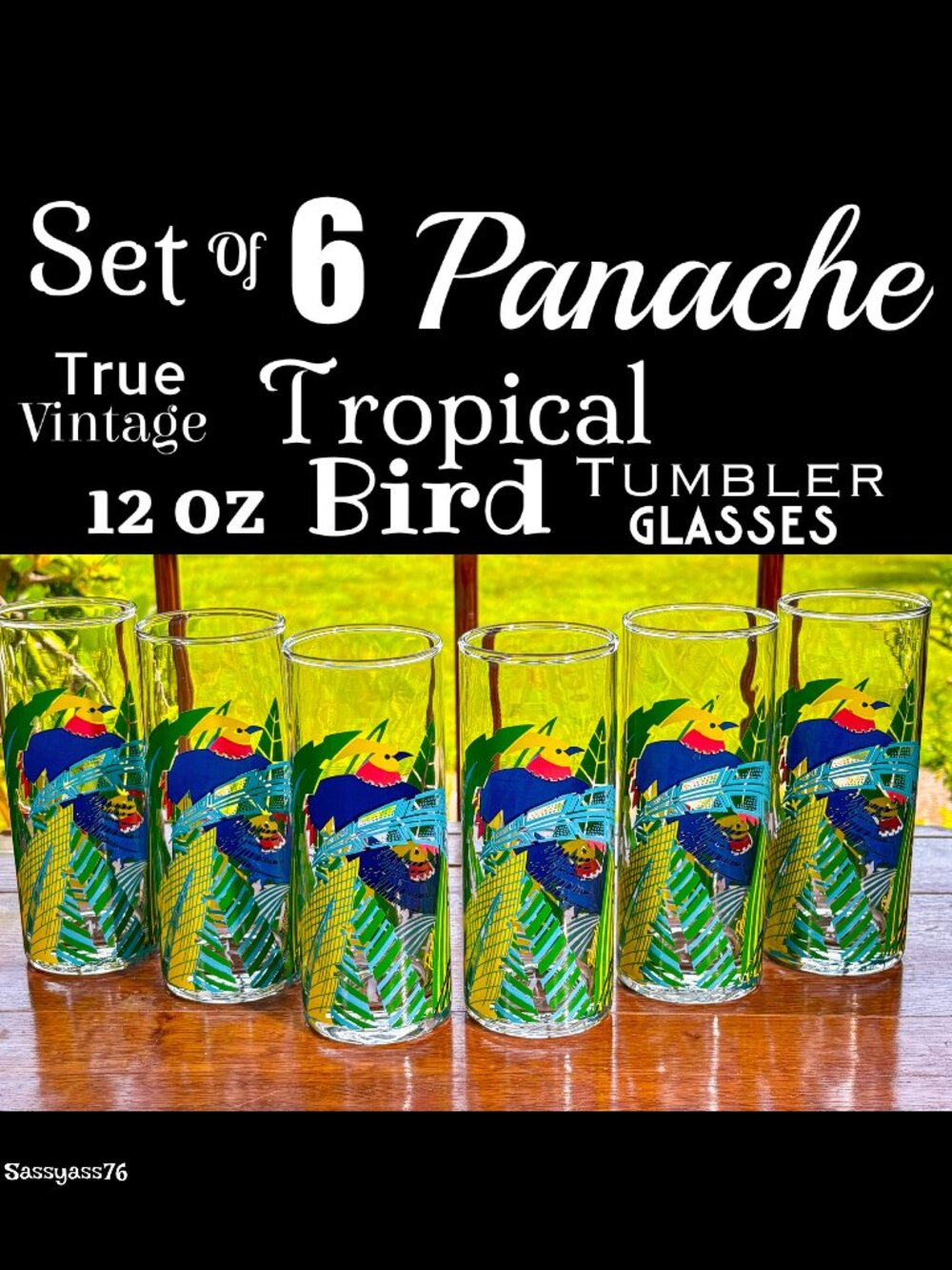 🆕VTG▪️ PANACHE▪️ Set of 6 Tropical Bird 12 oz Tall Tumbler Highball Glasses